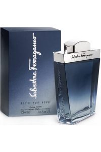 Obrázok pre Salvatore Ferragamo Subtil Pour Homme